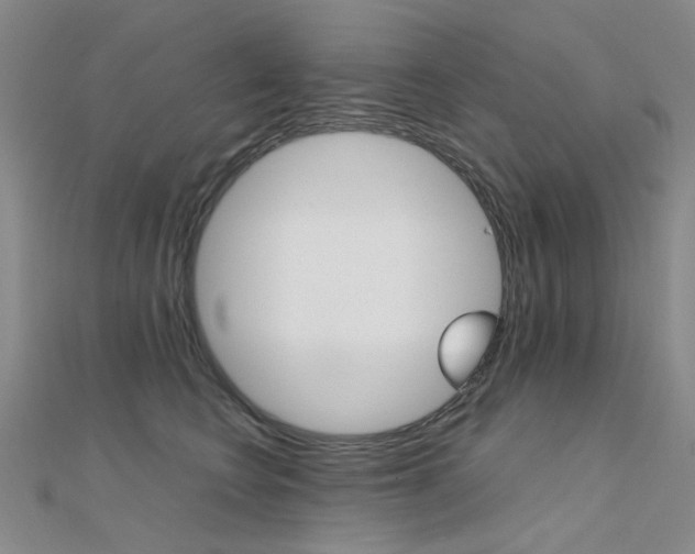 X0000112170566200908071002