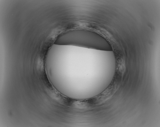 X0000112170568200908071002