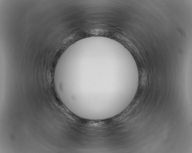 X0000112170569200908071002