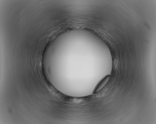 X0000112170570200908071002