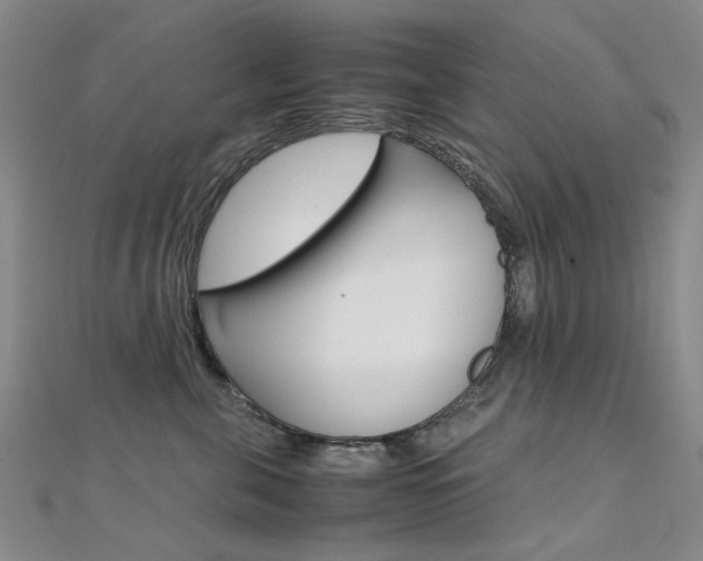 X0000112170571200908071002