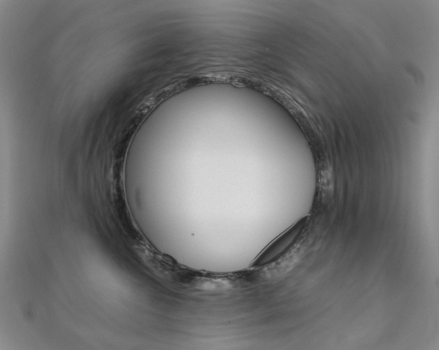X0000112170572200908071002