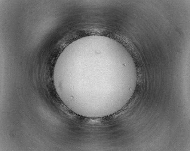 X0000112170573200908071002