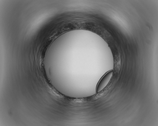 X0000112170574200908071002