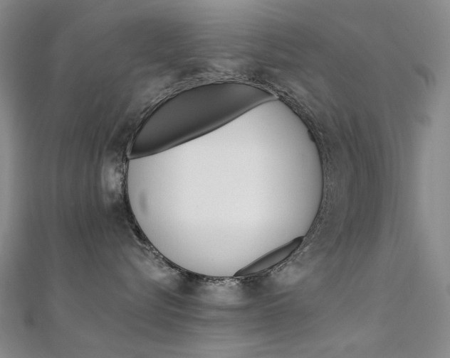 X0000112170576200908071002
