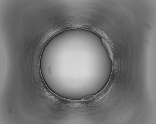 X0000112170577200908071001