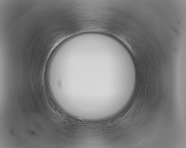 X0000112170579200908071001