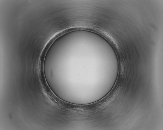 X0000112170580200908071001