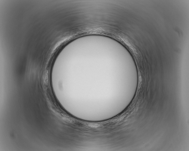 X0000112170583200908071001