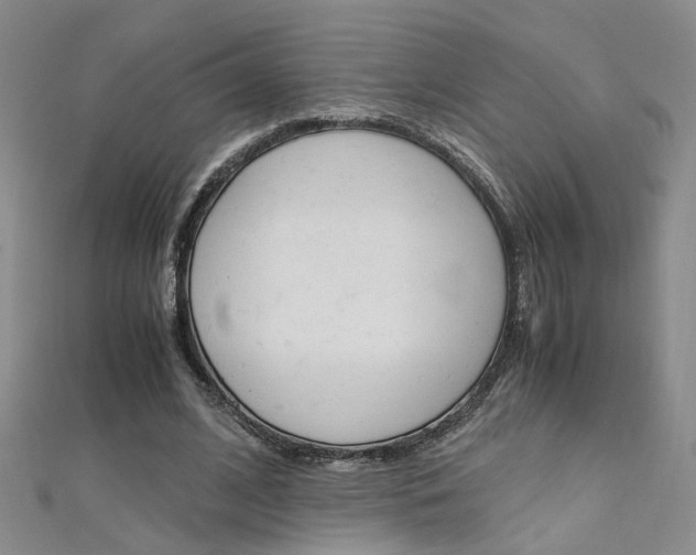 X0000112170584200908071001