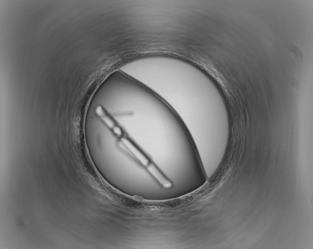 X0000112170585200908071001