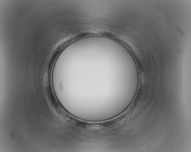 X0000112170587200908071001
