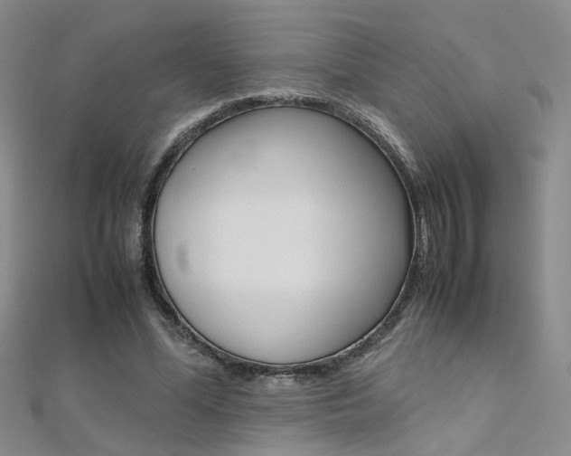 X0000112170588200908071001