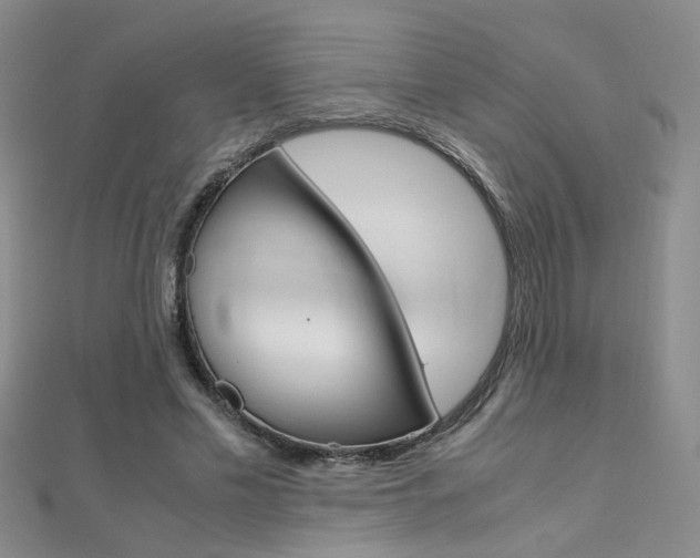 X0000112170589200908071001