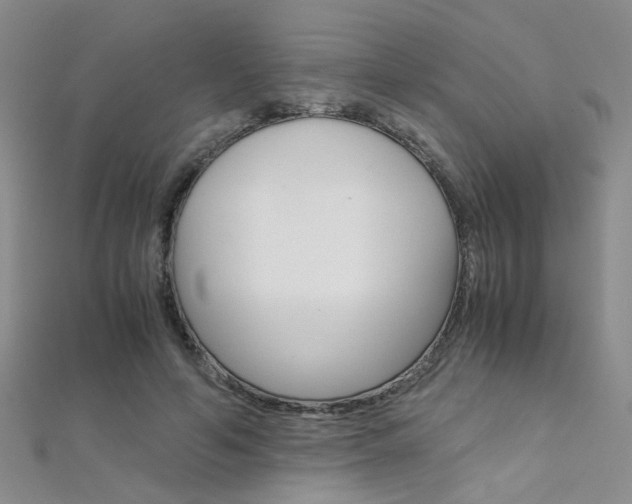 X0000112170594200908071001