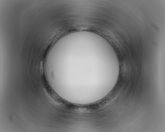X0000112170598200908071001
