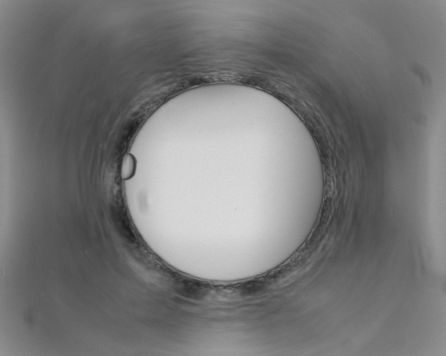 X0000112170599200908071001