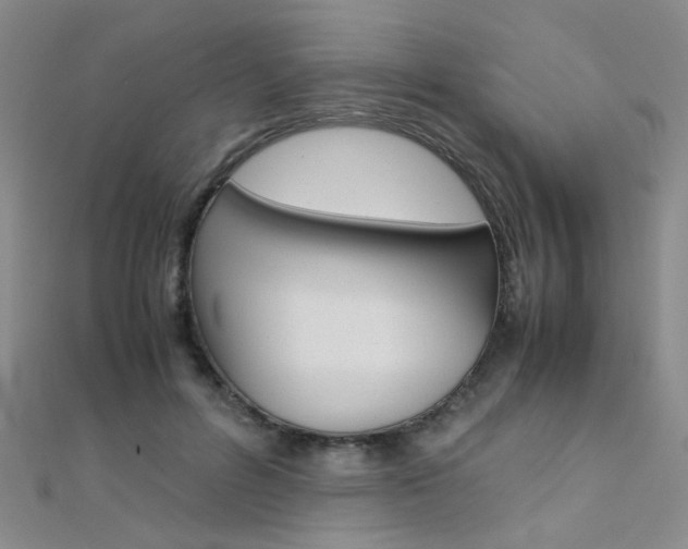 X0000112170600200908071001