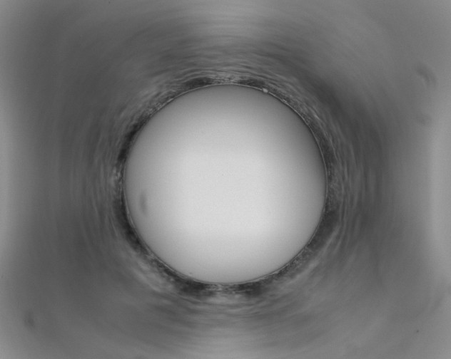 X0000112170601200908071001