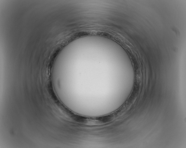 X0000112170605200908071001