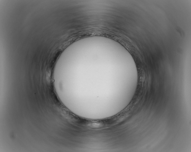 X0000112170610200908071001