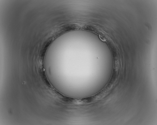 X0000112170613200908071001