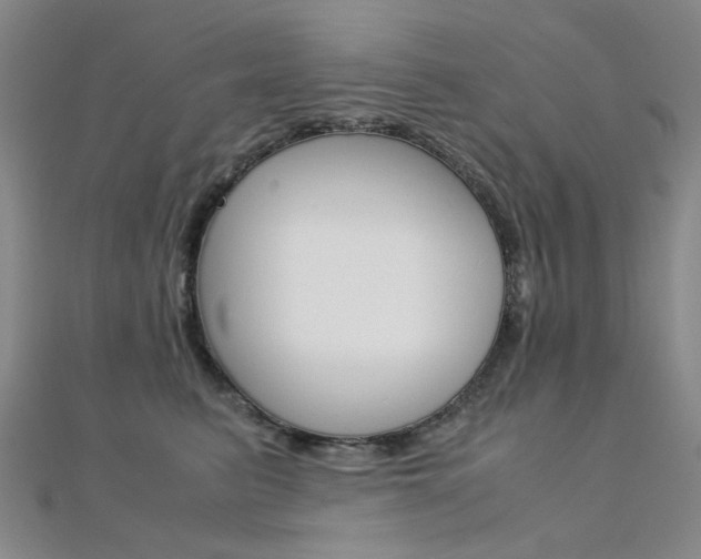X0000112170615200908071001