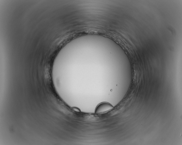 X0000112170616200908071001