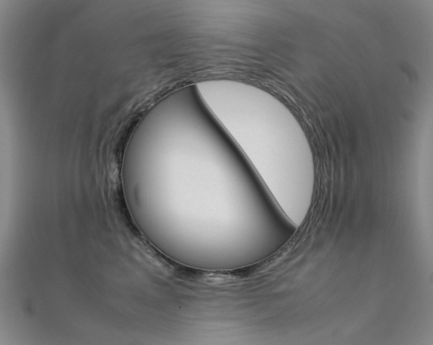 X0000112170617200908071001