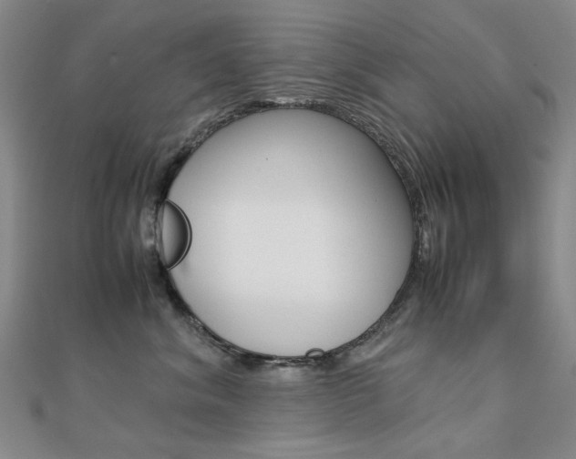 X0000112170620200908071001