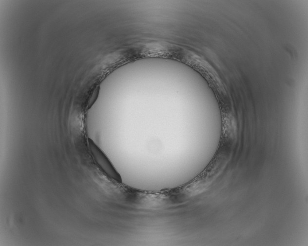 X0000112170621200908071001