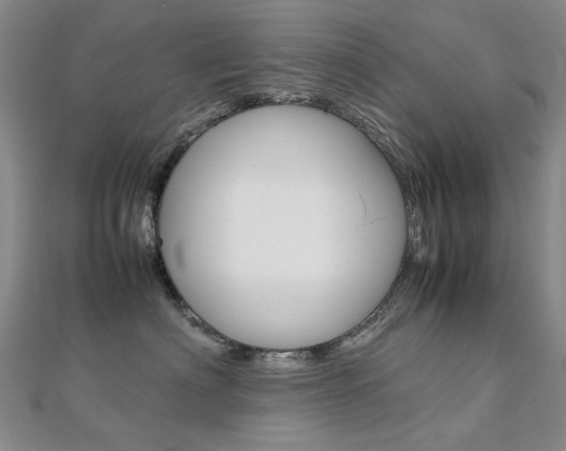 X0000112170622200908071001