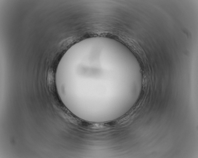 X0000112170623200908071001