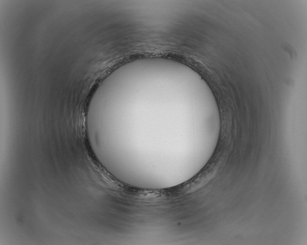 X0000112170624200908071001