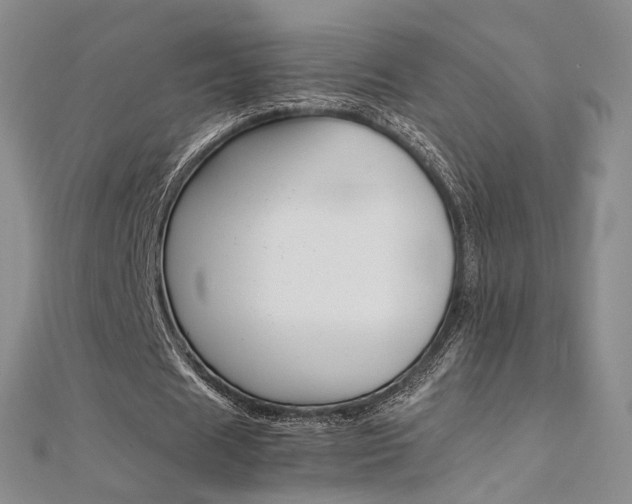 X0000112170625200908071000