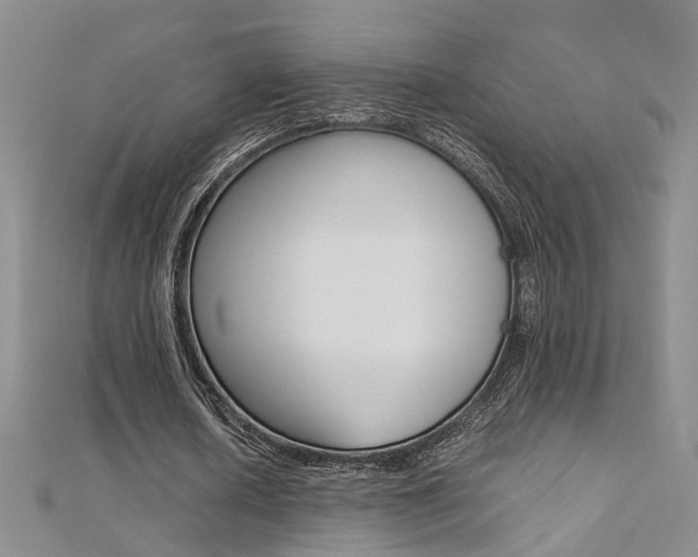 X0000112170626200908071000