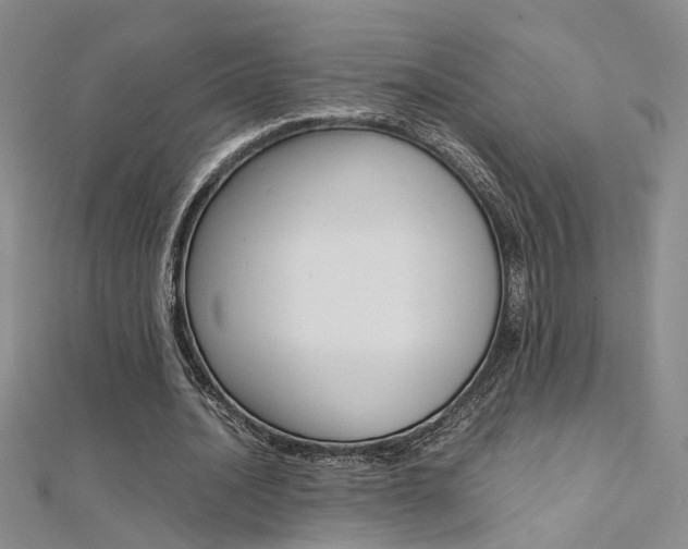 X0000112170628200908071000