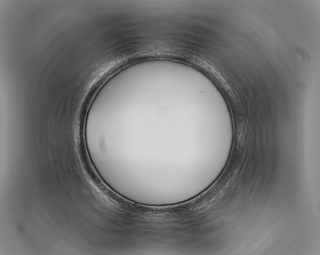 X0000112170629200908071000