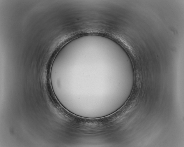 X0000112170631200908071000