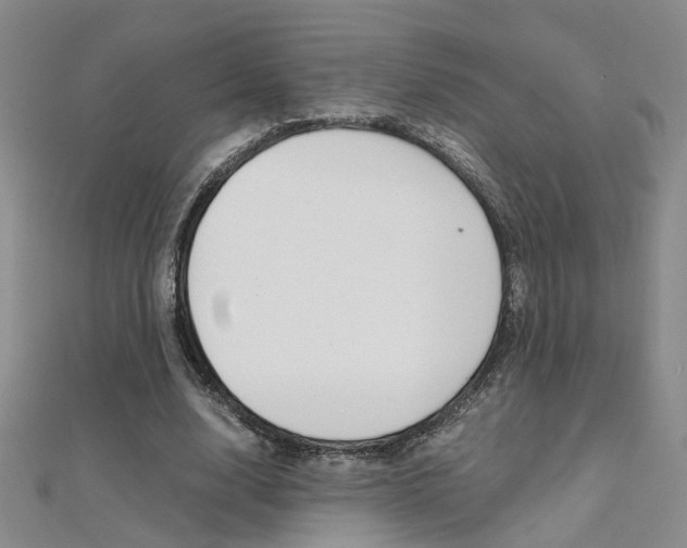 X0000112170632200908071000