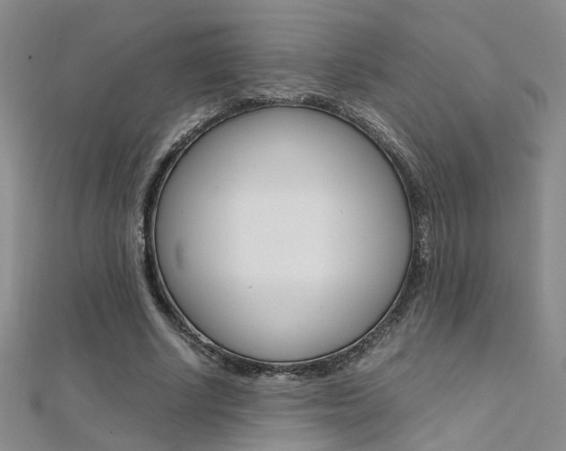 X0000112170634200908071000