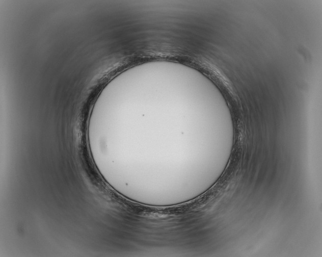 X0000112170635200908071000