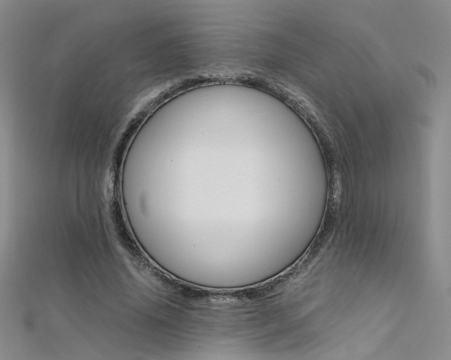 X0000112170636200908071000
