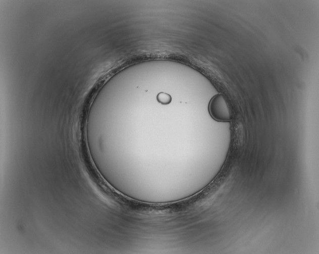 X0000112170638200908071000