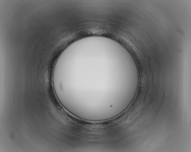 X0000112170639200908071000