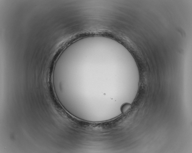 X0000112170640200908071000