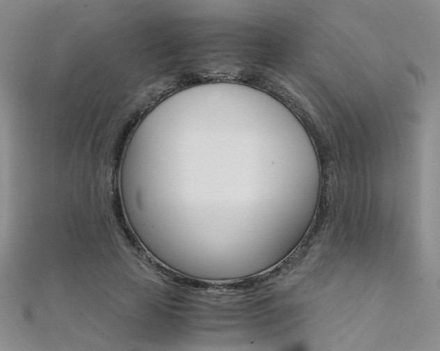 X0000112170641200908071000