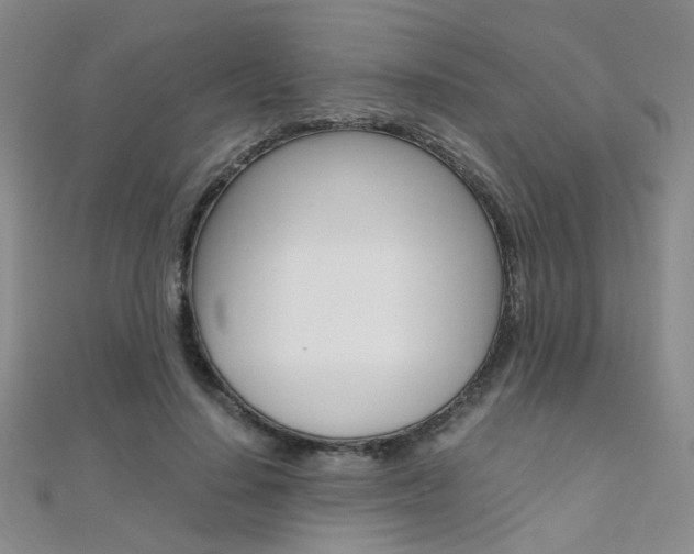X0000112170644200908071000