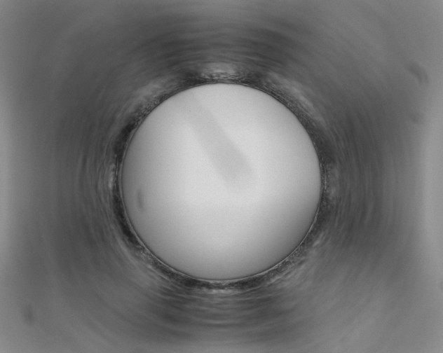 X0000112170645200908071000