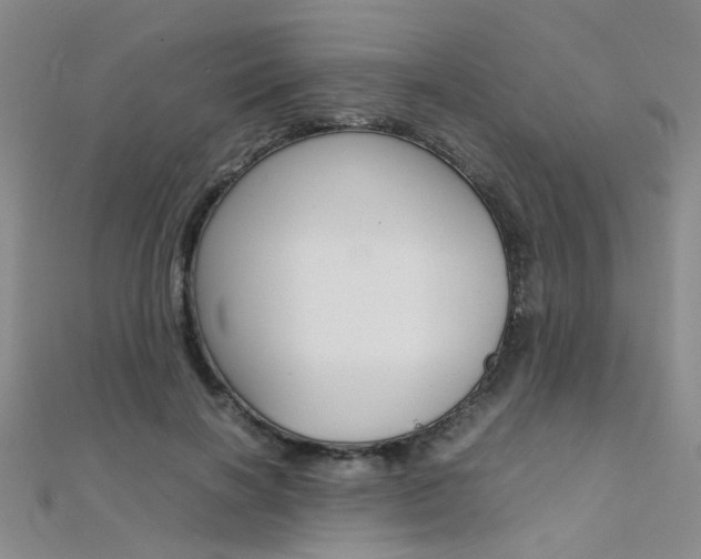 X0000112170646200908071000
